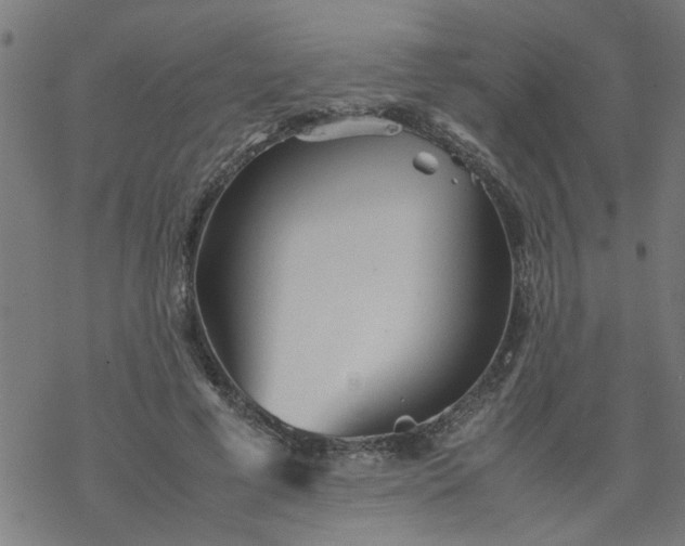 X0000077390593200611032003