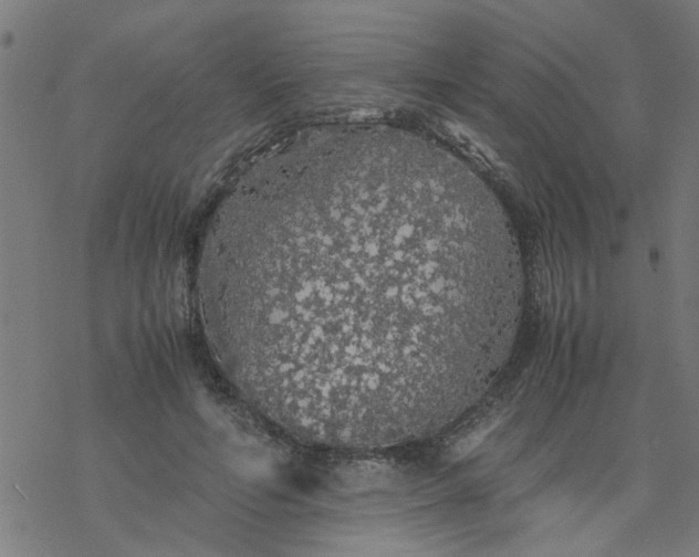 X0000077390594200611032003