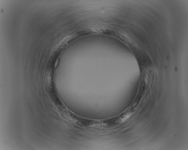 X0000077390595200611032003