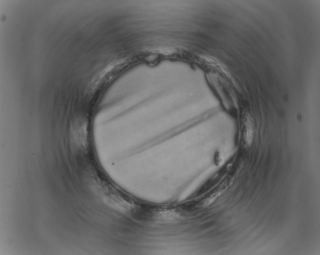 X0000077390596200611032003