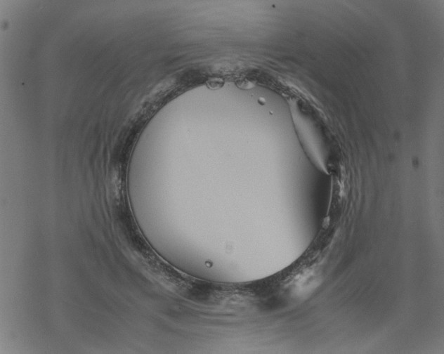 X0000077390597200611032003