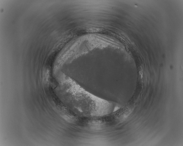 X0000077390598200611032003