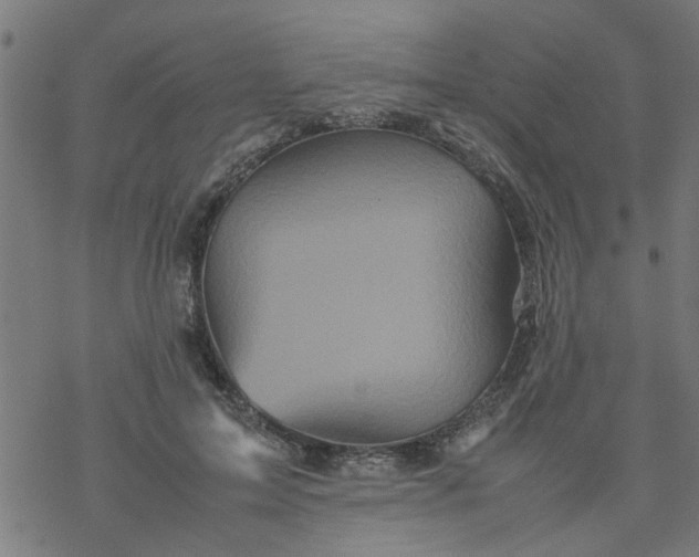 X0000077390599200611032003