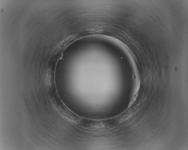 X0000077390600200611032003