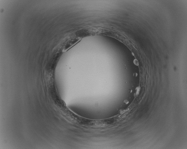 X0000077390601200611032003