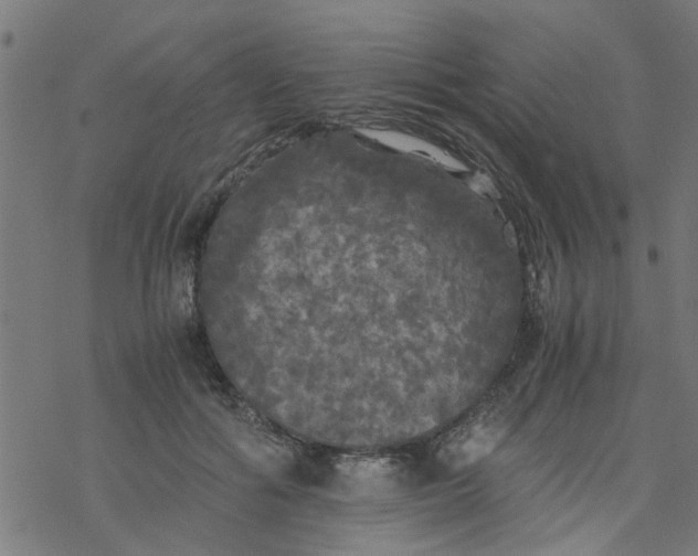 X0000077390602200611032003