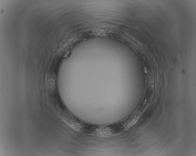 X0000077390603200611032003