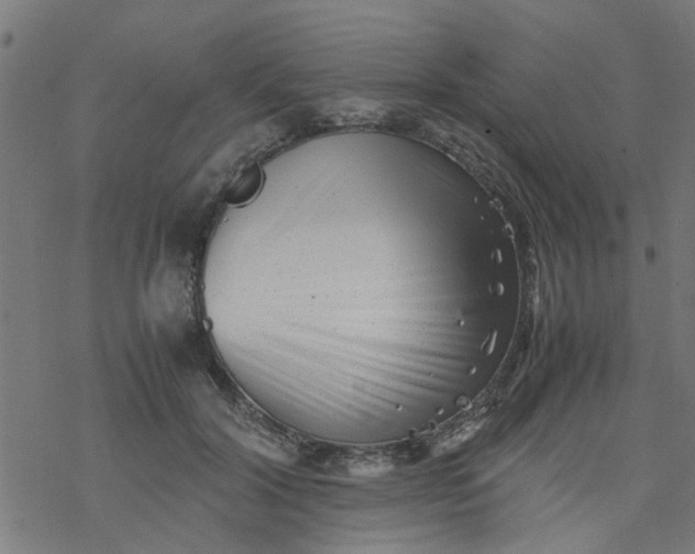 X0000077390604200611032003