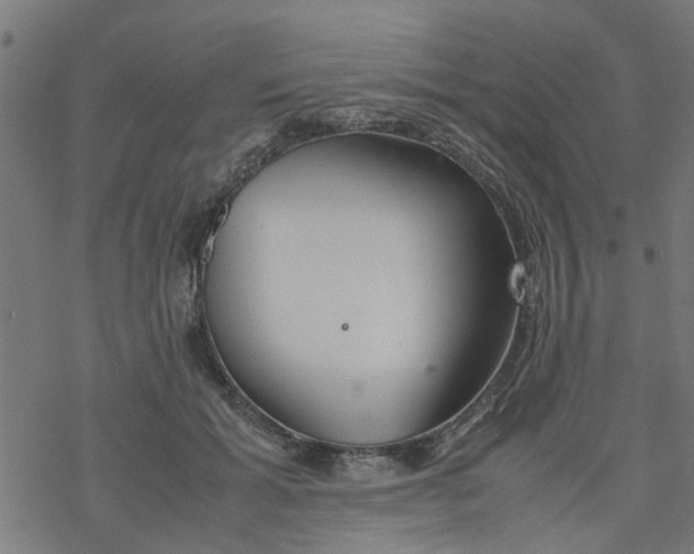 X0000077390605200611032003