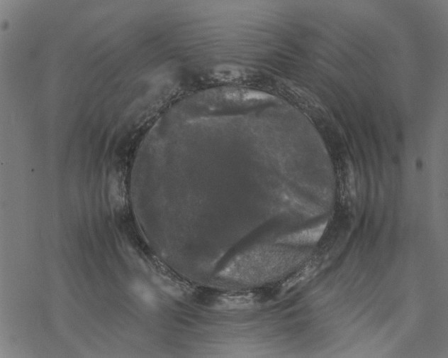 X0000077390606200611032003