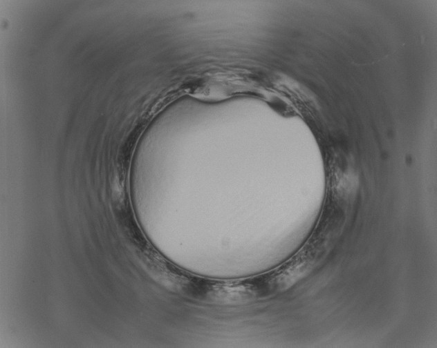 X0000077390607200611032003