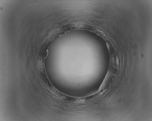 X0000077390609200611032003