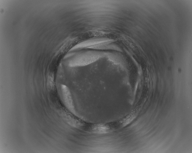 X0000077390610200611032003