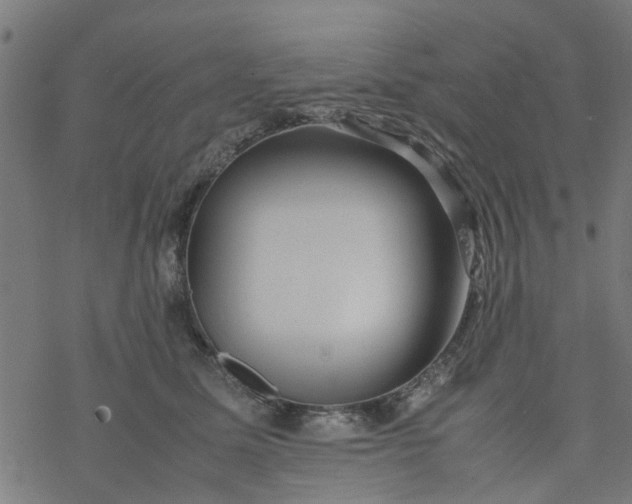 X0000077390611200611032003