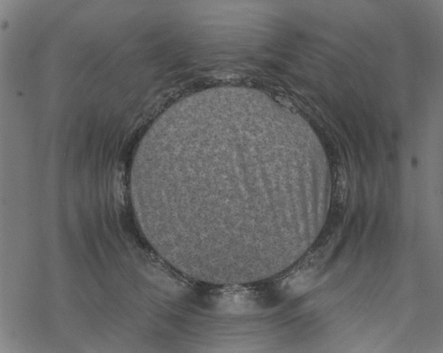 X0000077390612200611032003