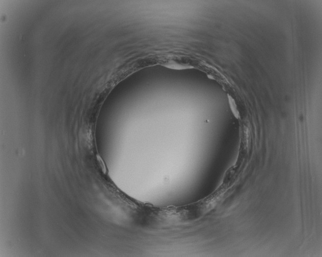 X0000077390613200611032003