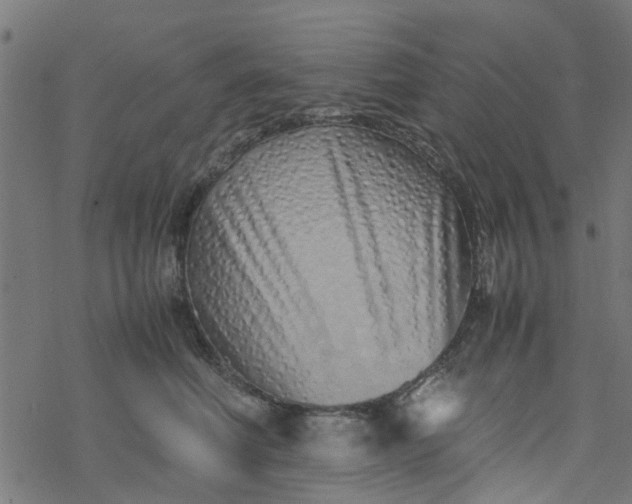 X0000077390614200611032003