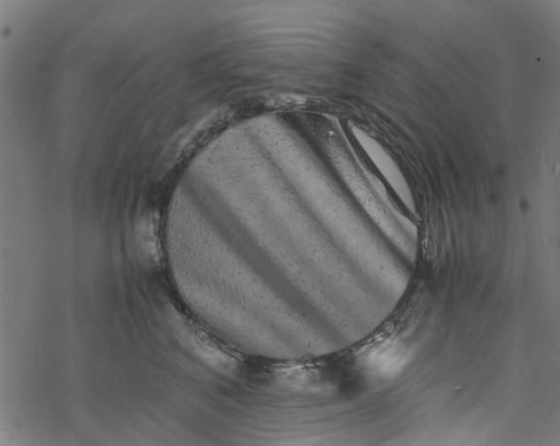 X0000077390616200611032003