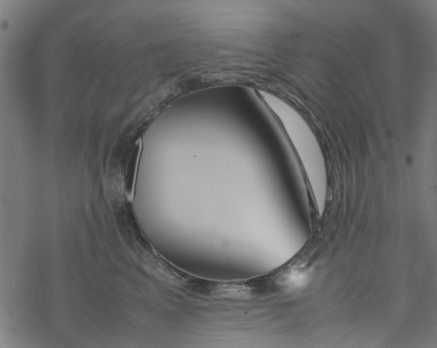 X0000077390617200611032003