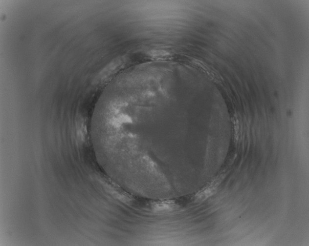 X0000077390618200611032003