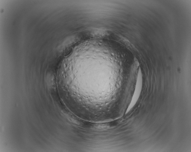 X0000077390619200611032003