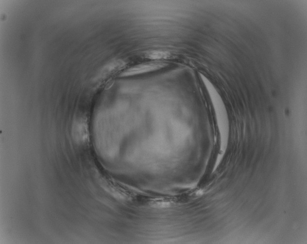 X0000077390620200611032003