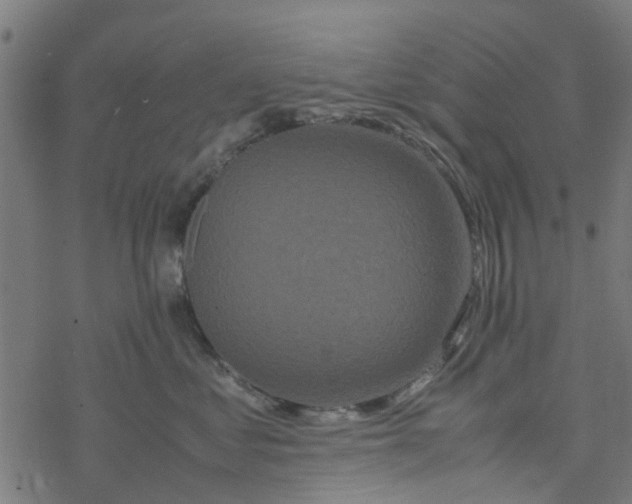 X0000077390621200611032003