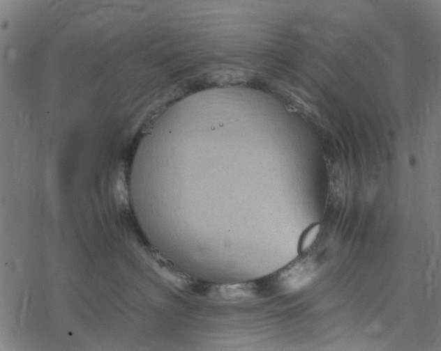 X0000077390622200611032003