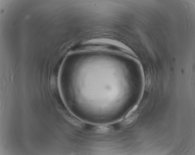 X0000077390623200611032003