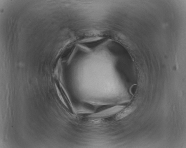 X0000077390624200611032003