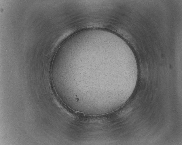 X0000077390625200611032002