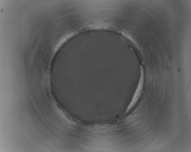 X0000077390626200611032002