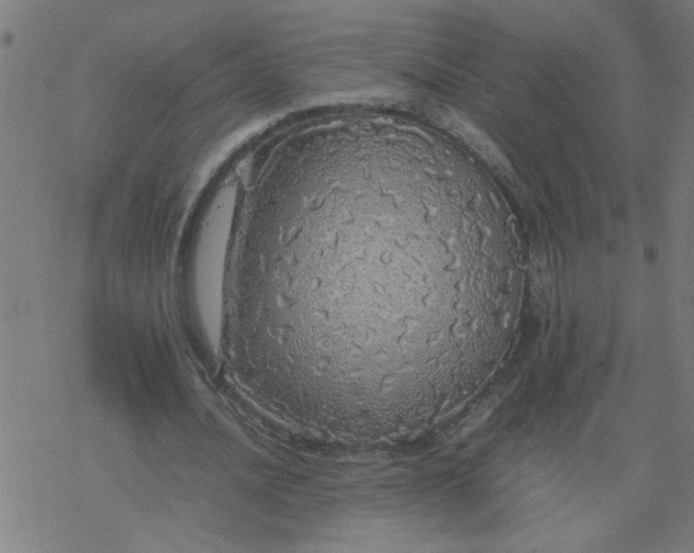 X0000077390628200611032002