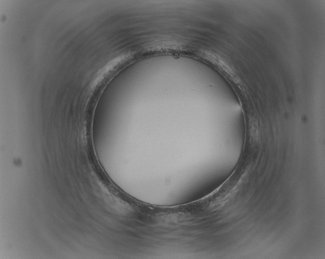 X0000077390629200611032002