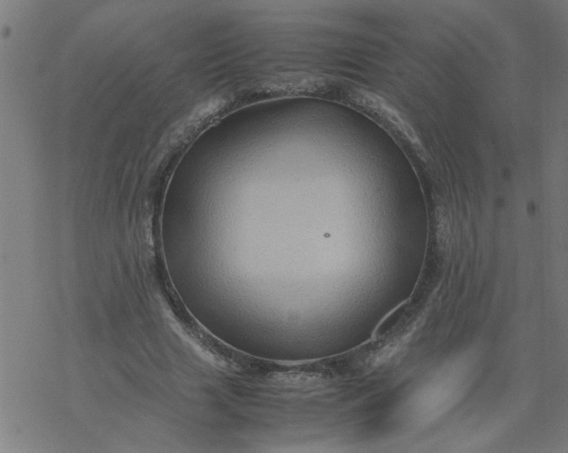 X0000077390633200611032002