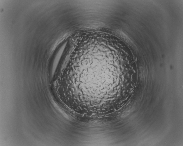 X0000077390634200611032002