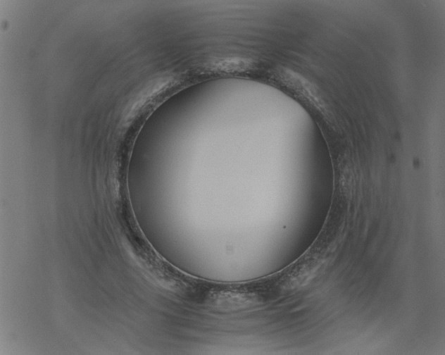 X0000077390635200611032002