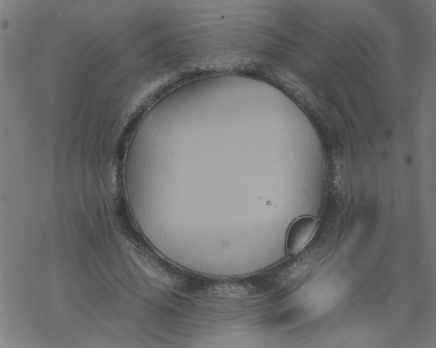 X0000077390636200611032002