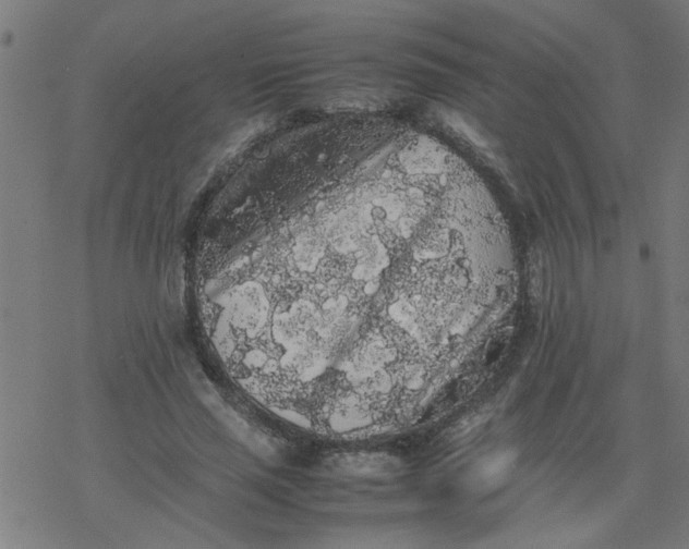 X0000077390637200611032002