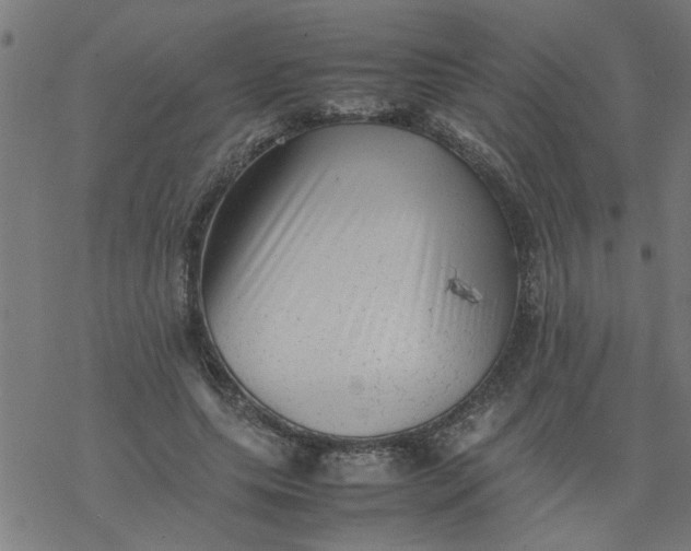 X0000077390639200611032002