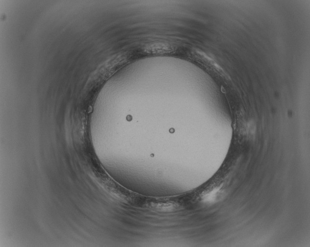 X0000077390645200611032002