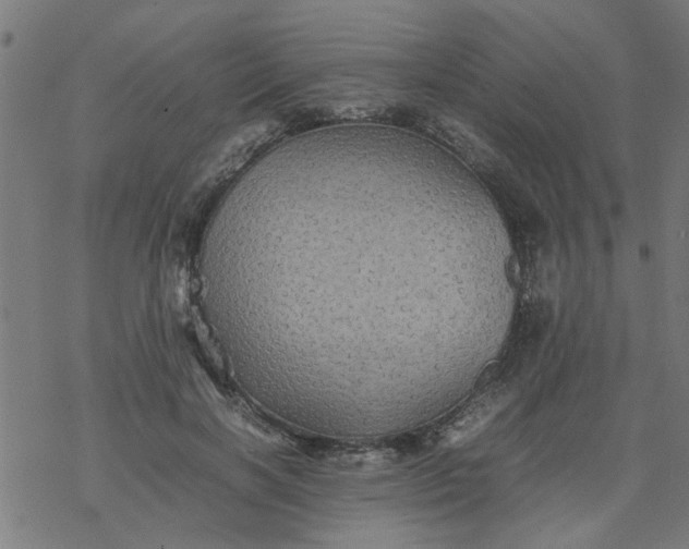 X0000077390646200611032002