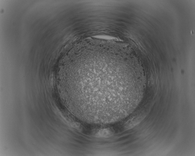 X0000077390647200611032002