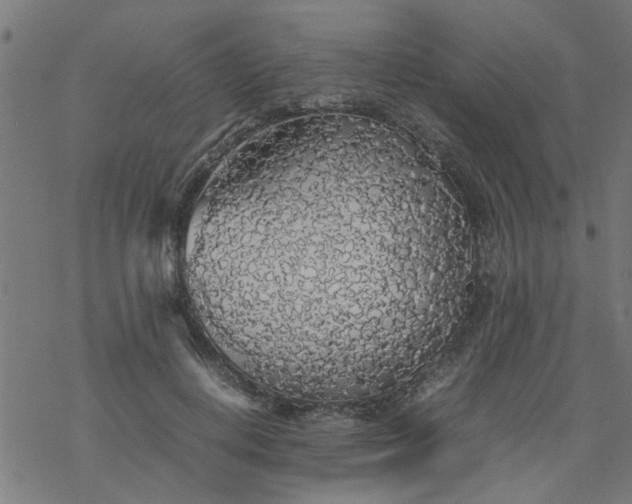 X0000077390648200611032002