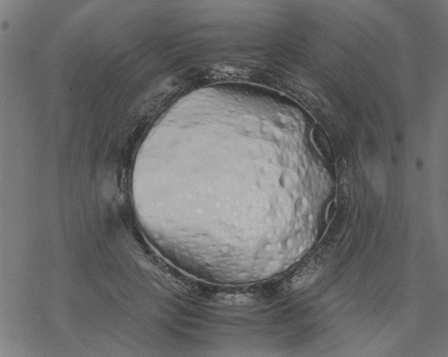 X0000077390649200611032002