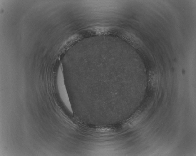 X0000077390650200611032002