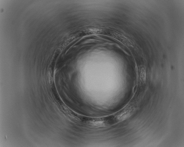 X0000077390651200611032002