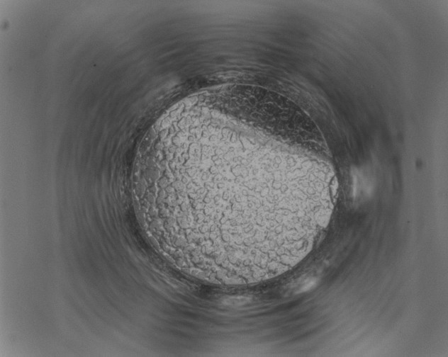 X0000077390653200611032003