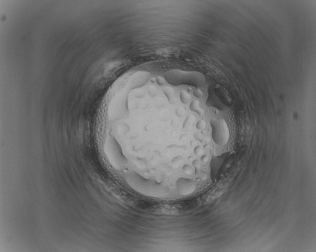 X0000077390656200611032003