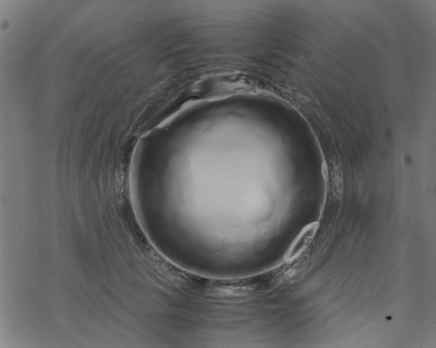 X0000077390657200611032003